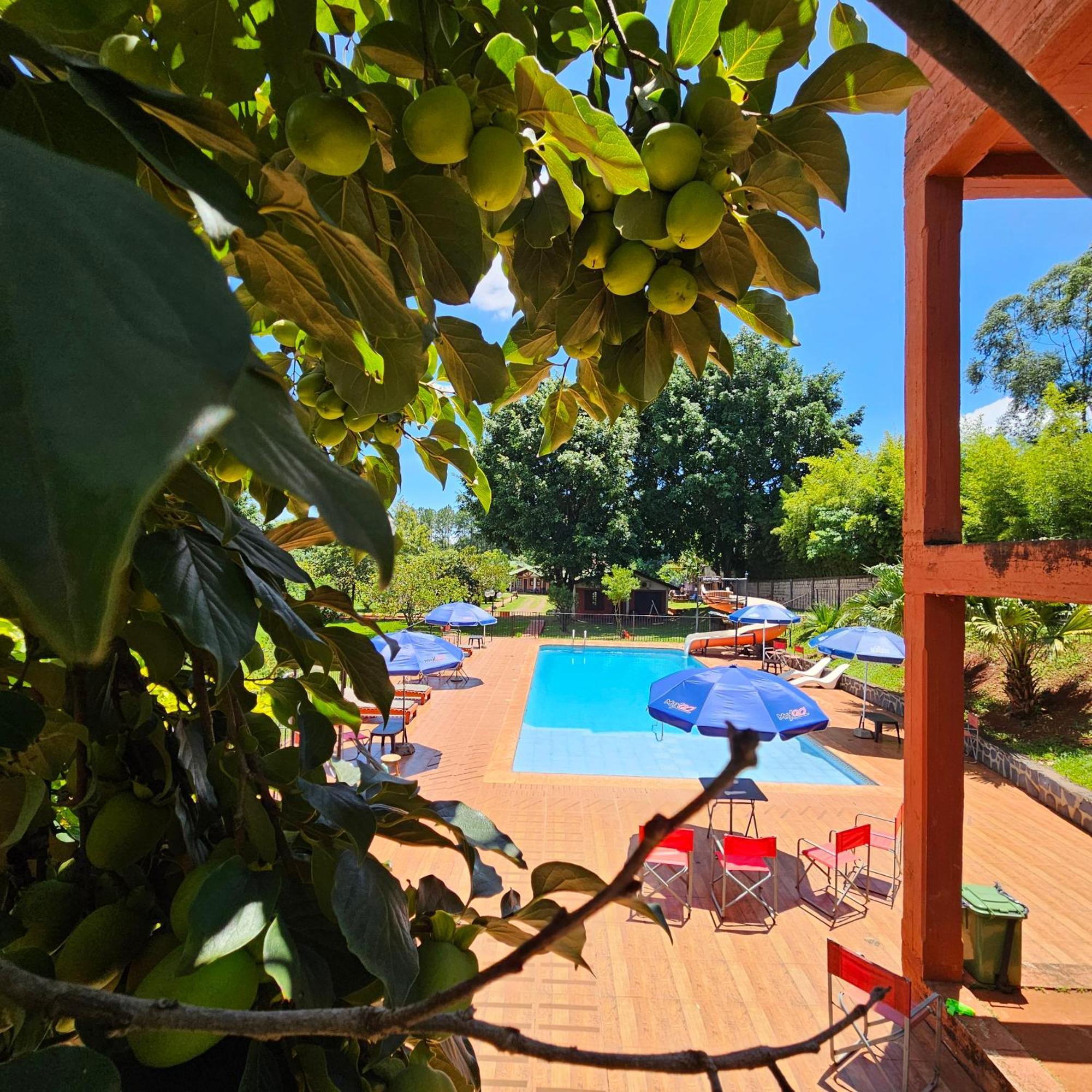 Cabanas El Refugio Del Mensu Puerto Iguazú Zewnętrze zdjęcie