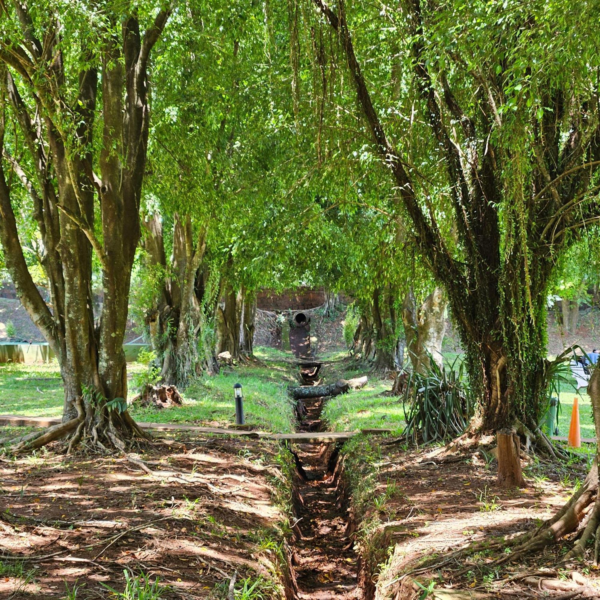 Cabanas El Refugio Del Mensu Puerto Iguazú Zewnętrze zdjęcie